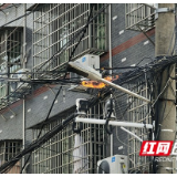 街边光缆起火 益阳消防紧急处置