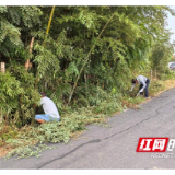 赫山区欧江岔镇：聚力人居环境整治 提“颜值”保“安全”