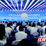 10大项目签约，11位招商顾问受聘！沅江激活“项目+人才”双引擎