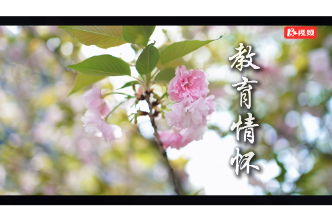 三尺讲台，教育情怀，致敬每一位执爱前行的师者！