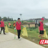 赫山区八字哨镇：“三措并举”刷新乡村“颜值”