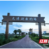 大通湖垂钓场：乡村产业新引擎 村民增收新希望