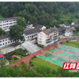 黄蜂蜇伤学生，桃江救援人员巧用无人机追踪“带标”黄蜂一举端巢