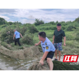 桃江县马迹塘镇： 铁腕禁捕护生态 暖心赠鱼传温情