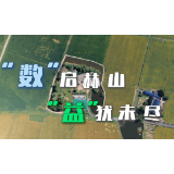 视频丨“数”启赫山 “益”尤未尽