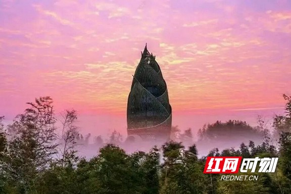桃花江竹海景区.marked.jpg