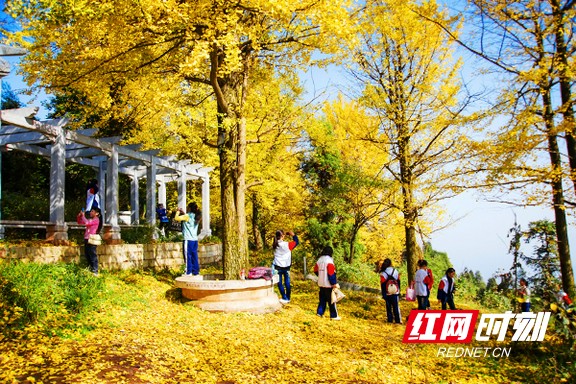 浮邱山景区.marked.jpg