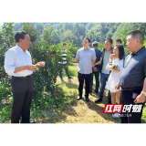 烟溪镇双烟村：党建引领聚合力 集体经济发展正当时