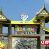 以最优营商环境护航返乡创业 让梦想在湖乡大地扎根结果