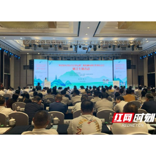 总投资31.36亿元！粤港澳大湾区牵手桃江，湘商回归为发展添动能