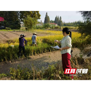 南县明山头镇：党员带头打响蓝天白云“保卫战”