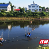 赫山区泉交河镇：区域联动清网护河 合力守护水域生态