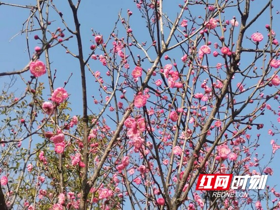 微信图片_20260112160223_303_8.marked.jpg 微信图片_20260112160223_303_8.marked.jpg