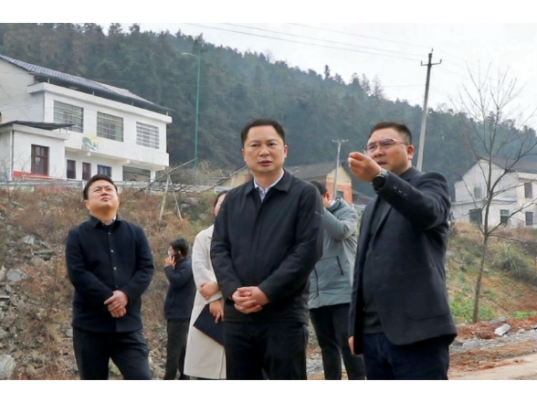 周登高到高桥镇调研