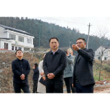 周登高到高桥镇调研