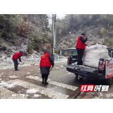 桃江县桃花江镇：以雪为令战严寒 同心除冰护民生
