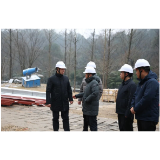 李丰到清溪村调研