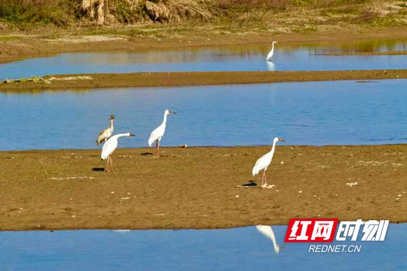 666.marked.jpg 666.marked.jpg