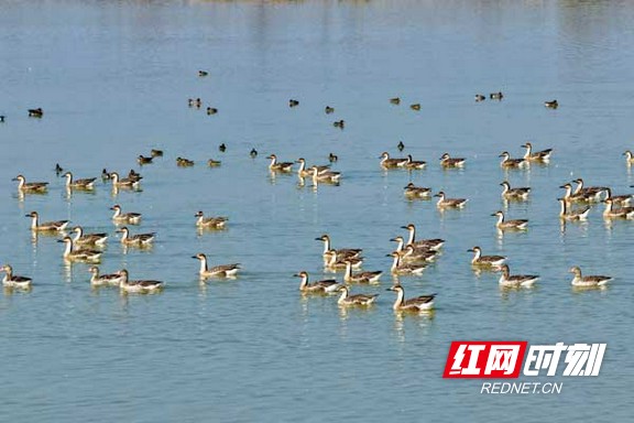 90.marked.jpg 90.marked.jpg