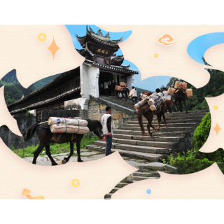 新春走基层·小镇顶流｜铃响马驰，千年茶路的新春新韵  