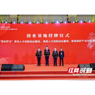“益”起创业 “南”得精彩:南县政策“组合拳” 打出返乡创业“加速度”