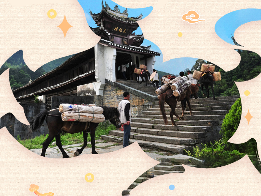 新春走基层·小镇顶流｜铃响马驰，千年茶路的新春新韵  