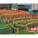 2026年“骐骥骉骉 欣欣资阳”新春百乐汇暨“双百闹元宵”系列文化活动举行