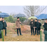 罗必胜开展巡林并督导护鸟工作