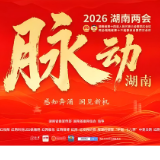海报丨脉动湖南，听代表们共话高质量发展新动能