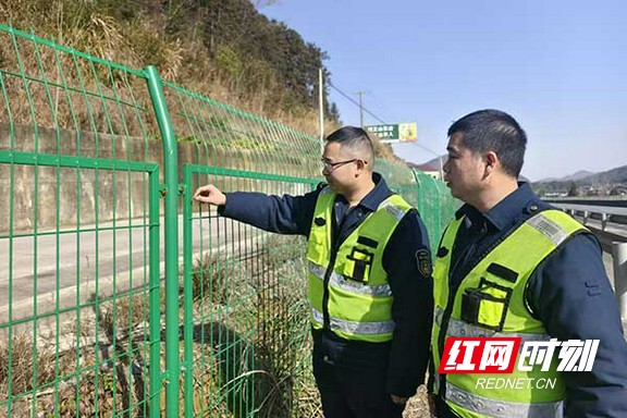 11.marked.jpg 11.marked.jpg