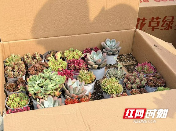 微信图片_20260312164056_159_42.marked.jpg 微信图片_20260312164056_159_42.marked.jpg