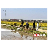 田间“摆擂”育新苗 赫山区兰溪镇人大助力春耕跑出“加速度”