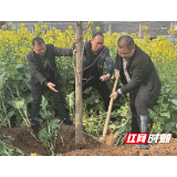 安化县烟溪镇开展学雷锋义务植树活动