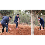 资阳区开展2026年义务植树活动