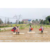 备耕正当时！赫山育秧绘春景