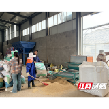 抢抓农时催新秧！大通湖区河坝镇、金盆镇春耕备耕火热开启