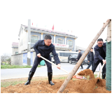 赫山区开展全民义务植树活动