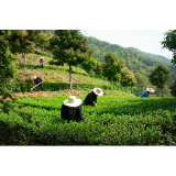 策马扬鞭春风里 且行且歌白沙溪