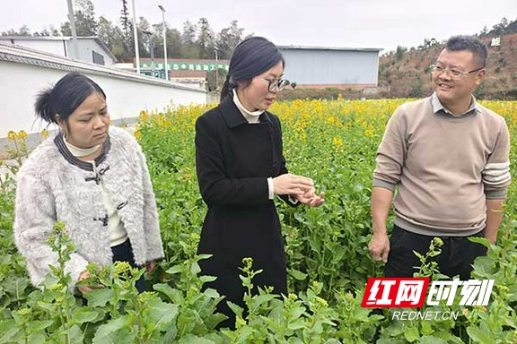 11.marked.jpg 11.marked.jpg