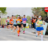 花海逐风 洞庭开跑!2026南县罗文花海半程马拉松即将燃情启幕