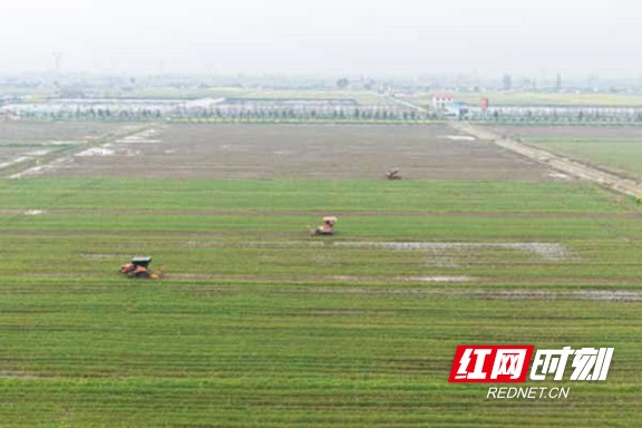 7888.marked.jpg 7888.marked.jpg