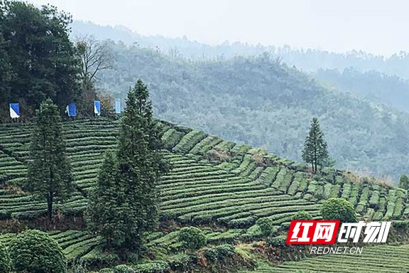 1.marked.jpg 1.marked.jpg