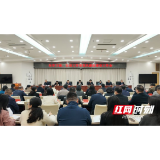 益阳市召开2026年度卫生健康、医疗保障暨党风廉政建设工作会议