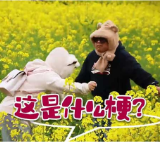 春茶开园:看烟溪镇玩转“梗”言“梗”语