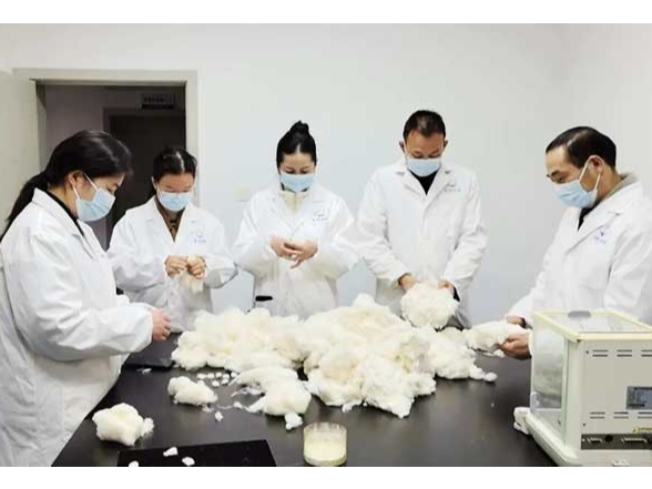 益阳市纤维质量监测中心全力备战全国行业职业技能竞赛