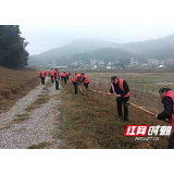 赫山区岳家桥镇开展义务植树主题党日活动
