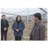 “蓝山问政”出圈，更需思考“然后呢”