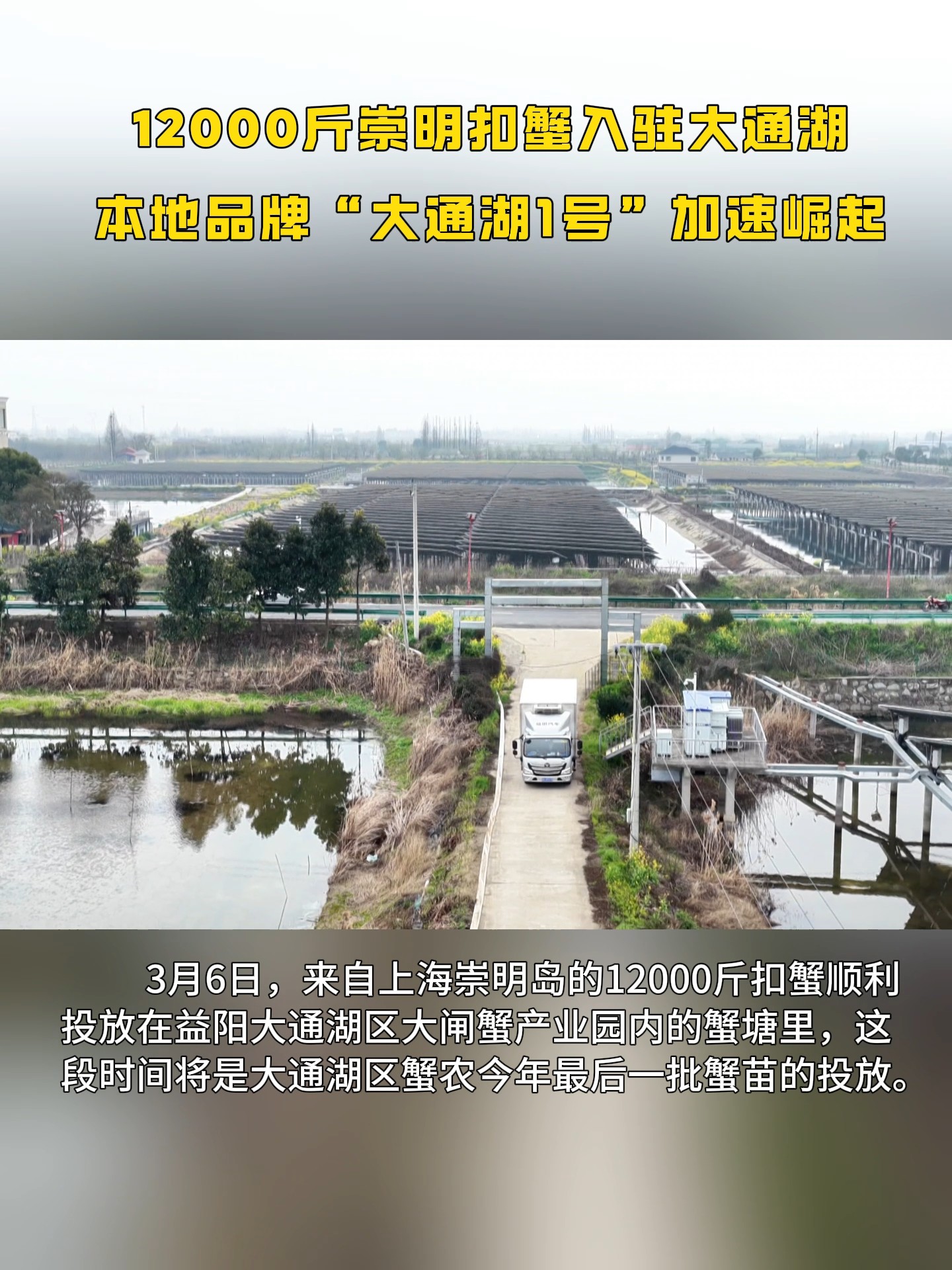 12000斤崇明扣蟹入驻大通湖