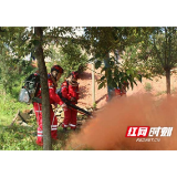 赫山区衡龙桥镇开展森林防灭火应急演练