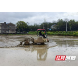 赫山区岳家桥镇:多措并举抓春耕生产 筑牢粮食安全“压舱石”